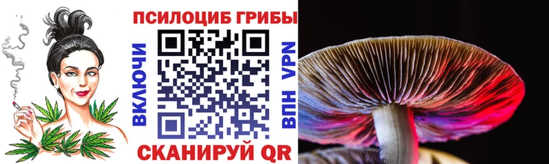 Псилоцибиновые грибы Psilocybine cubensis  Купить где  Муром 